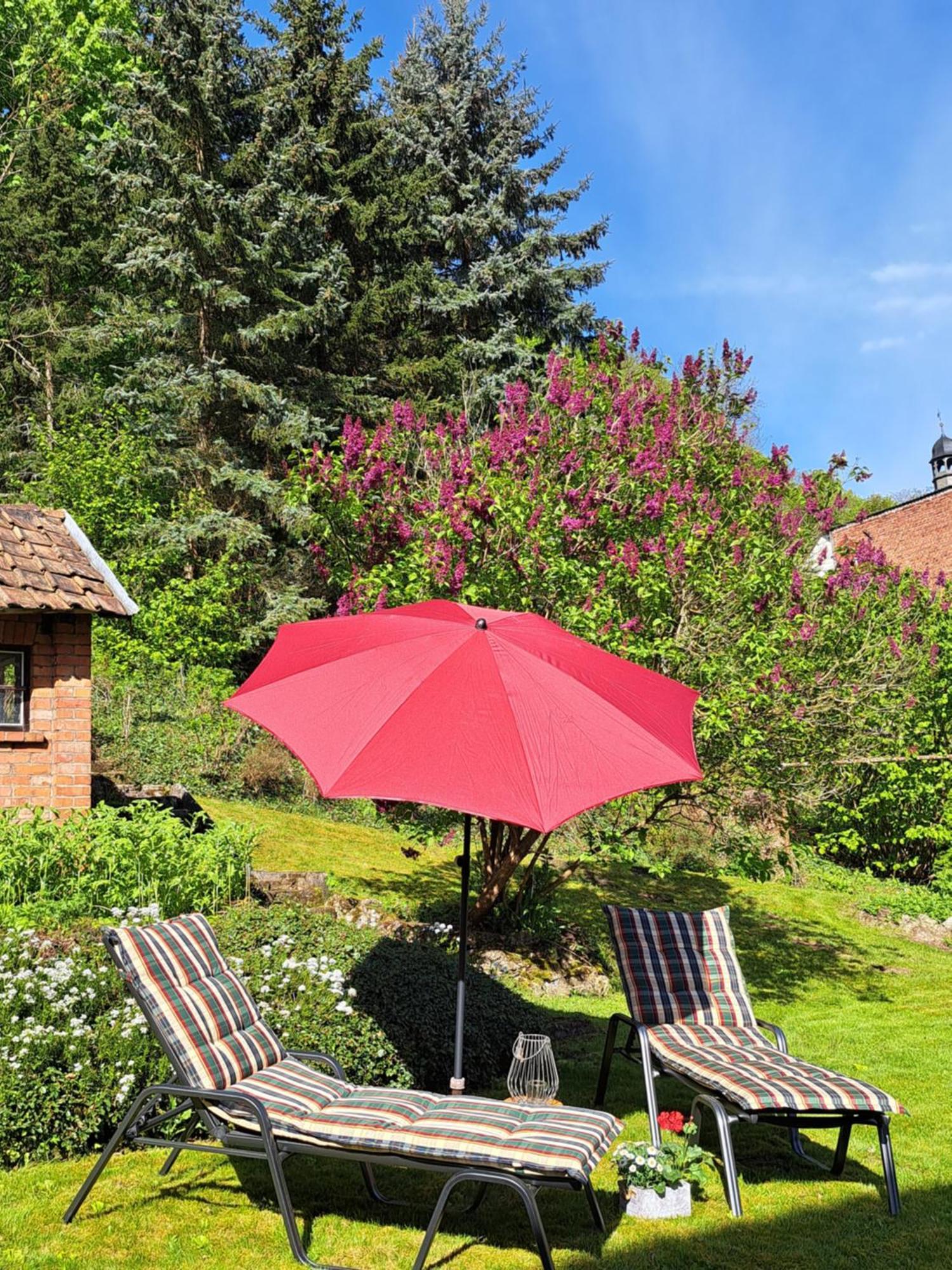Haus Lieberum Bad Sooden-Allendorf Extérieur photo